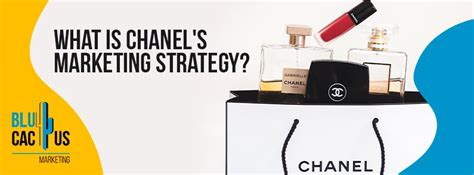 what does chanel vs walmart mean|chanel digital marketing strategy.